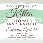 Kitten Shower