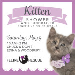 Kitten Shower