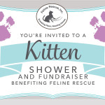 Kitten Shower