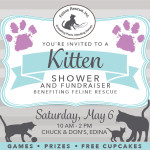 KittenShower