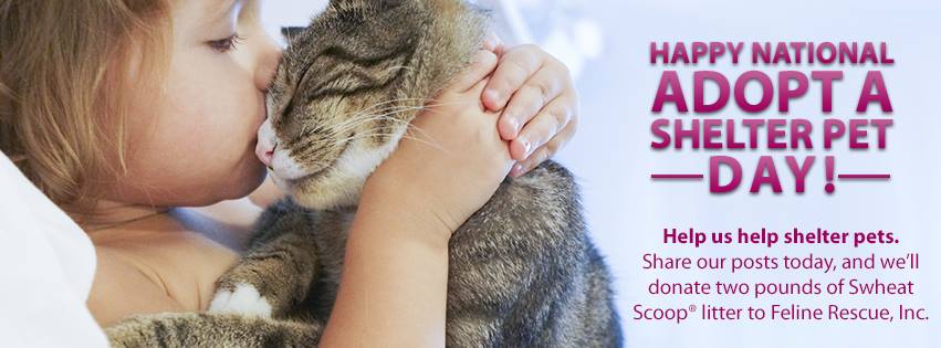 April 30 – Adopt a Shelter Pet Day!
