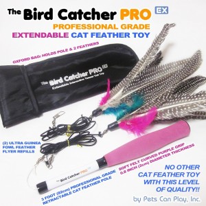 birdcatcher