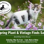 Feline Rescue Plant Sale 2015