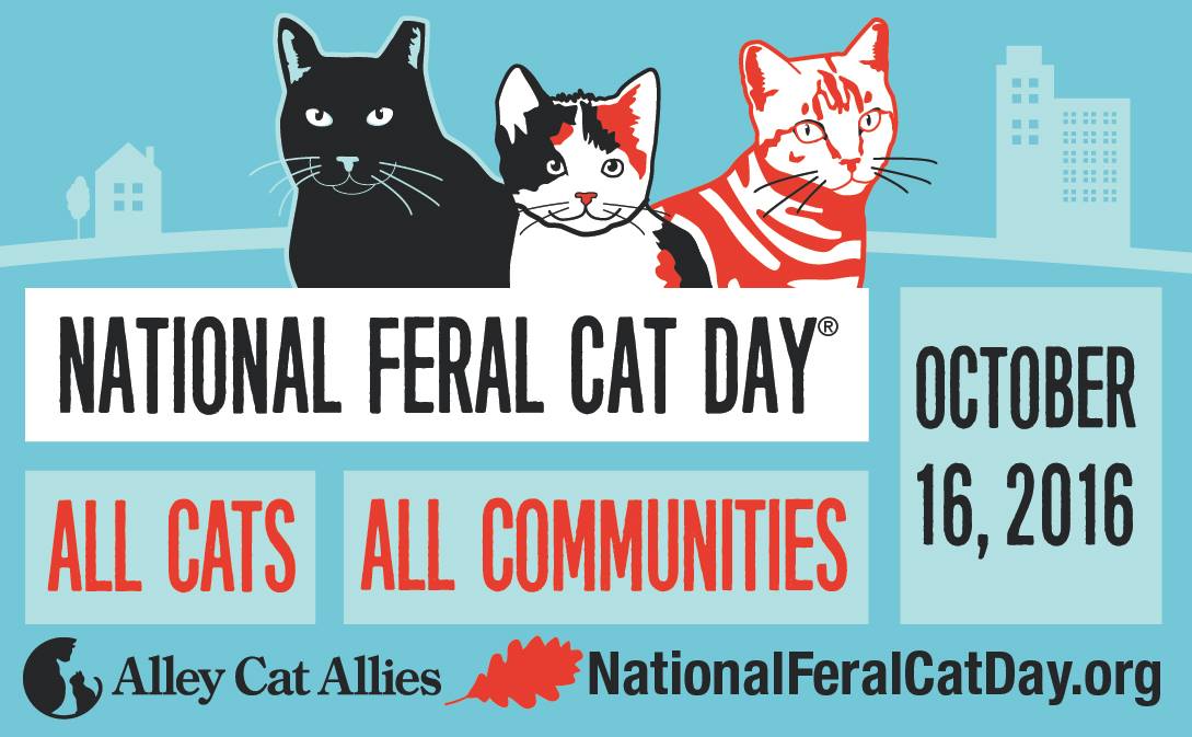 Fourth Annual Community Cat Day