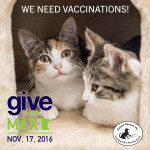 gtmd2016_weneedvaccinations1