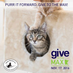 Purr It Forward Give To The Max Day