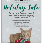 HolidaySaleFlyer2017