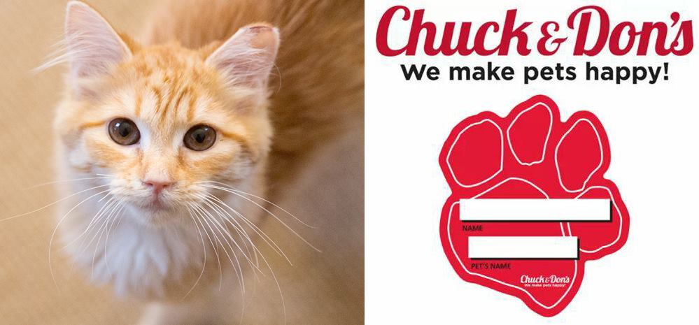 Chuck And Dons Feline Rescue Inc