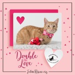 Double the Love 2017