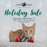 HolidaySale2017