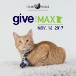 Give to the Max 2017