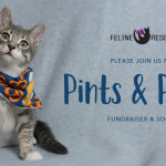 Pints And Purrs