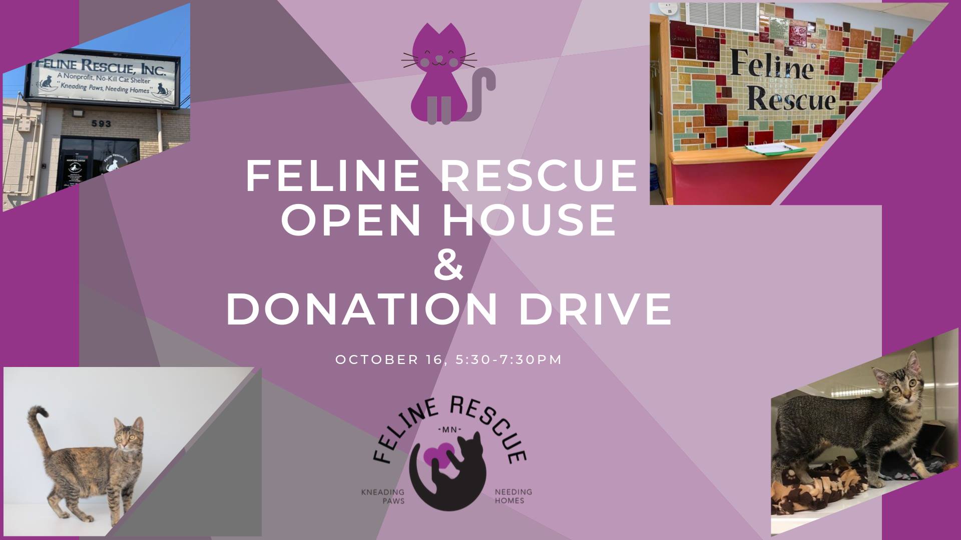 Feline Rescue Open House & Donation Drive
