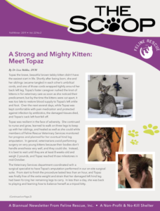 Thumbnail of "The Scoop" cover page
