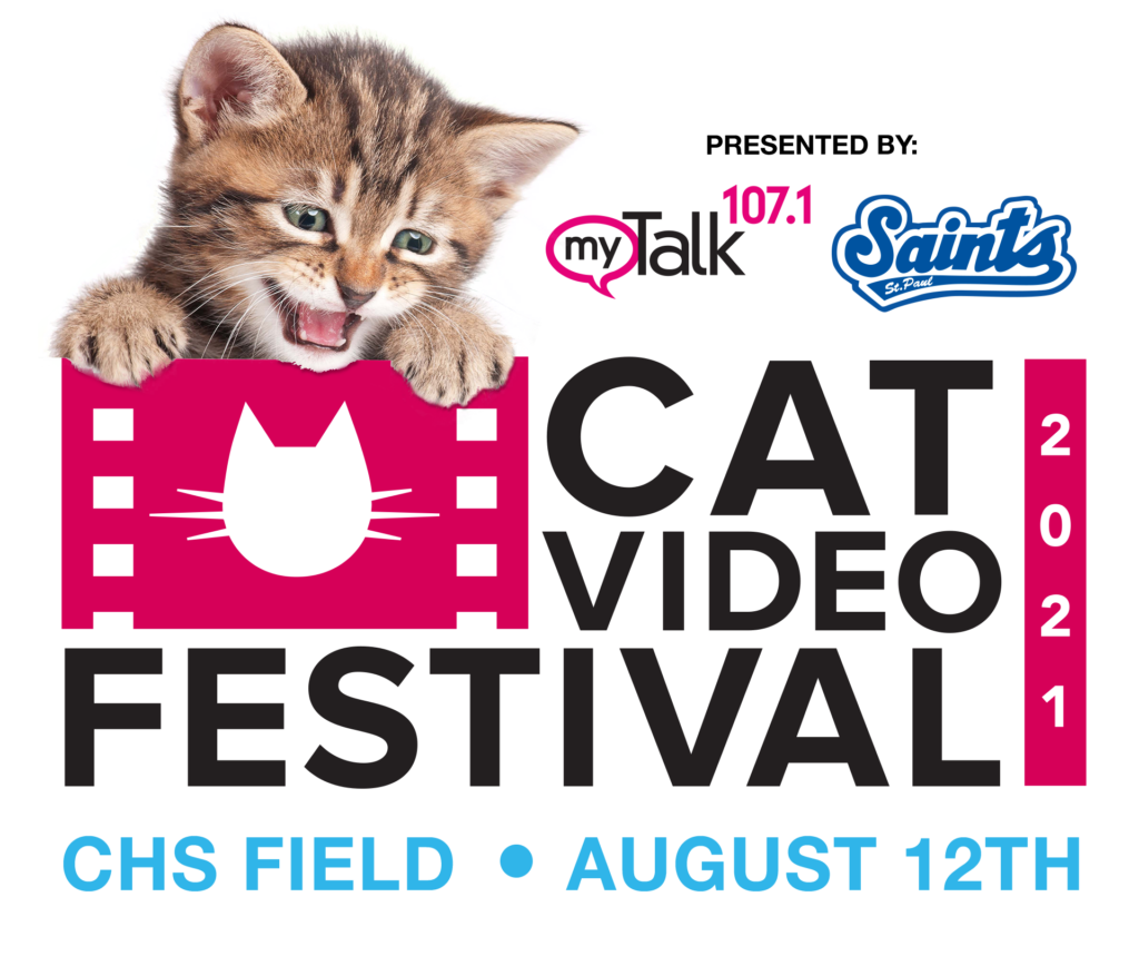 Visit Feline Rescue at Cat Video Festival at CHS Field! Feline Rescue