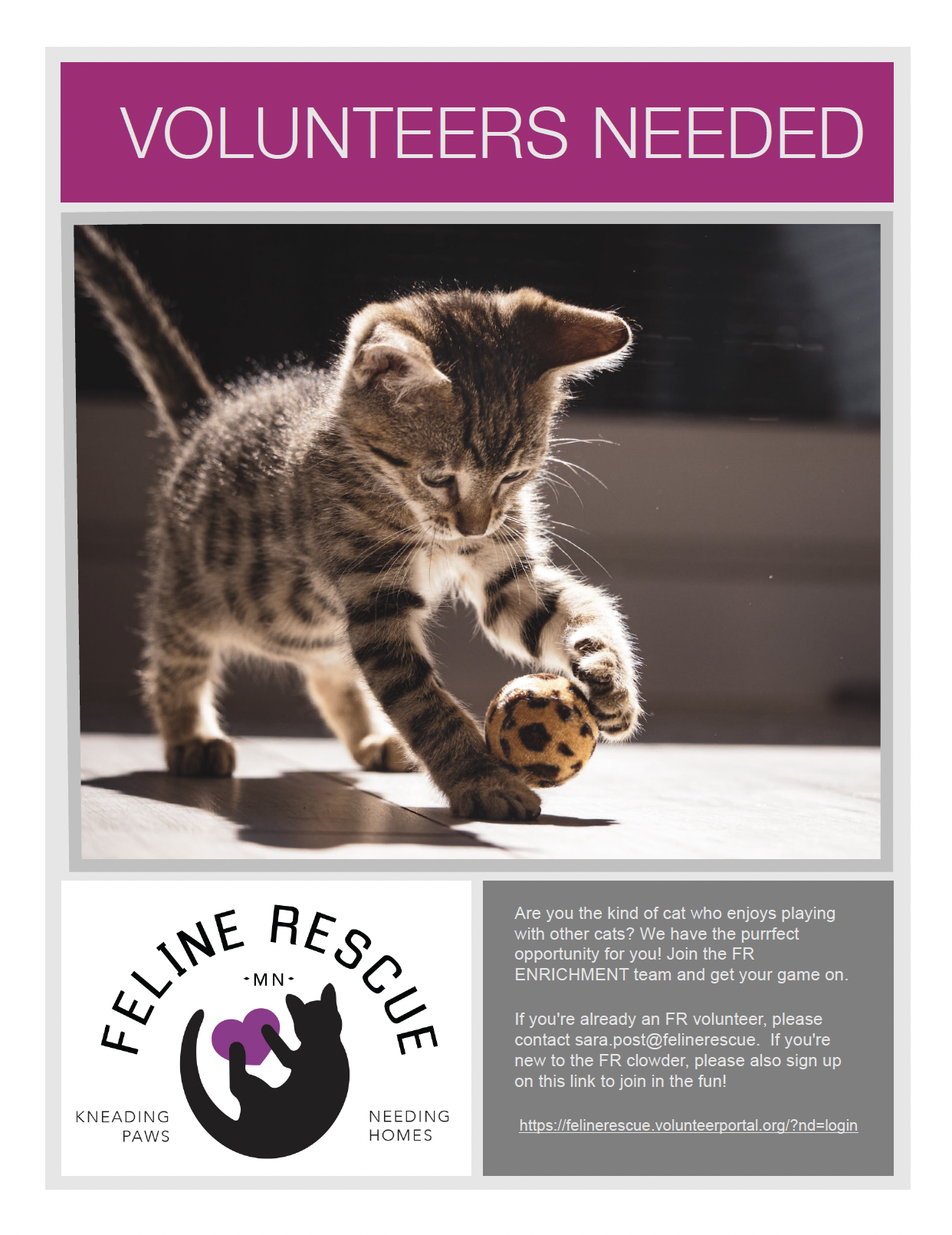 Get Involved - Feline Rescue, Inc.